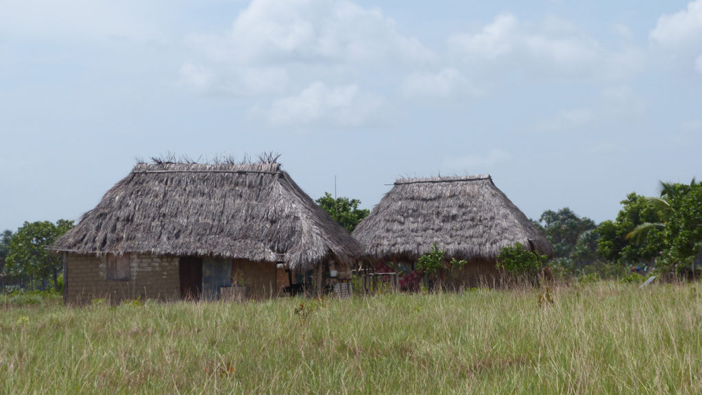 Amerindian houses in Rupununi Savannah