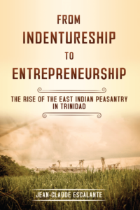 From Indentureship to Entrepreneurship front cover
